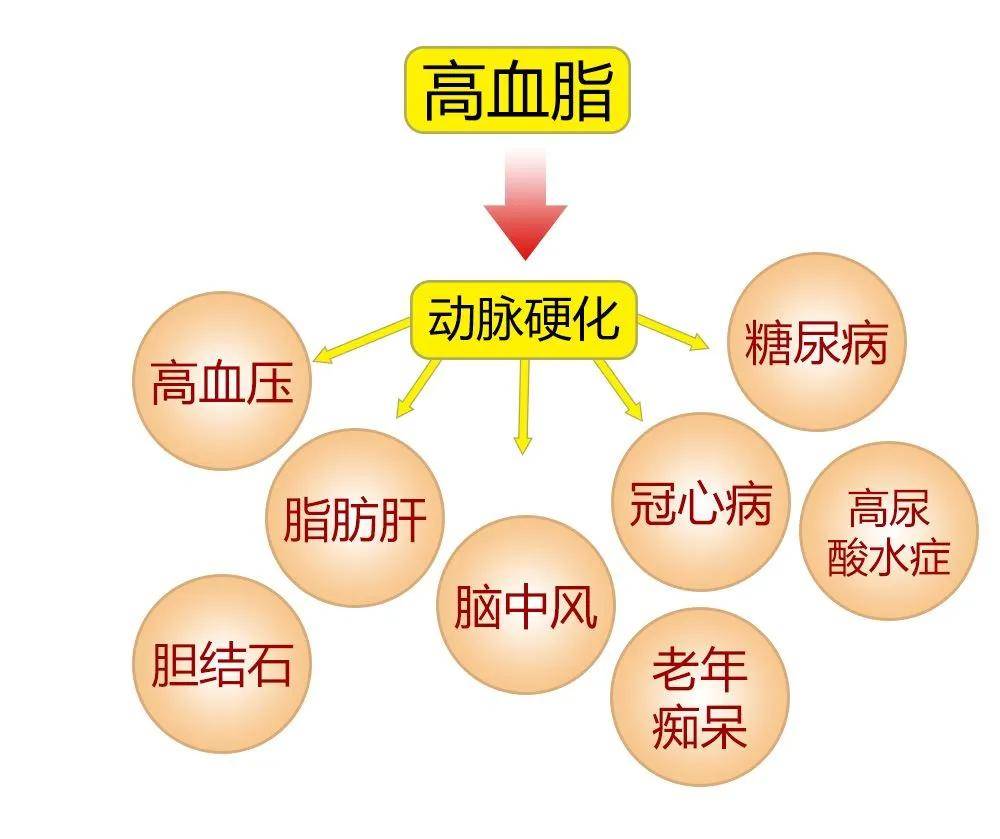 新澳门一码一肖一特一中2025高考