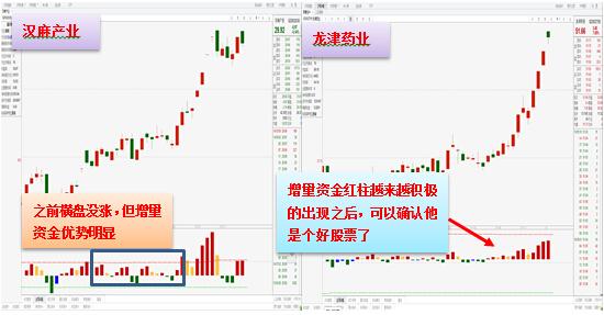 2025年一码一肖100精准