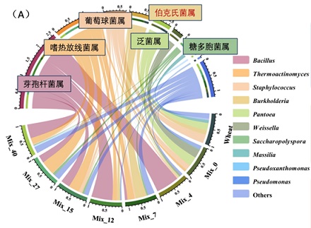 杂环化合物的制备