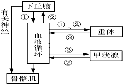 温度信号调理电路