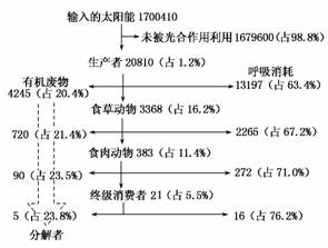 氧化锆和树脂