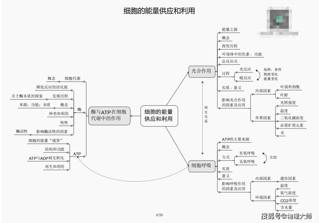 白小姐三肖三期必出一期开奖虎年