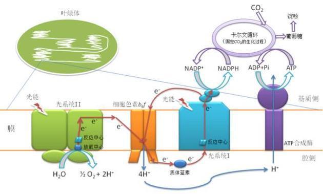 有哪些气象仪器作用是什么