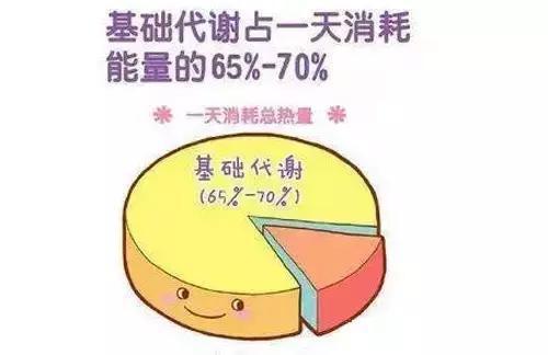 提高基础代谢率的6个方法,提高基础代谢率的六个实用设计策略及其在设计版插中的应用（以设计版插73.49.22为例）,快捷问题解决方案_出版社84.51.28