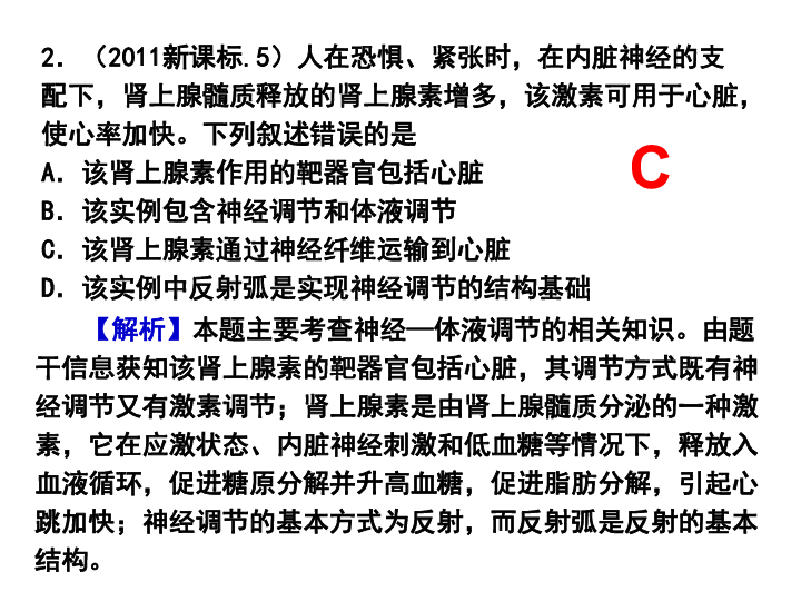 简述麻纤维的定义和分类