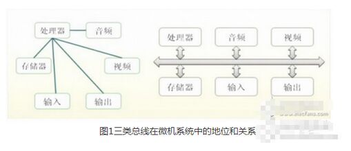 竹与木的区别