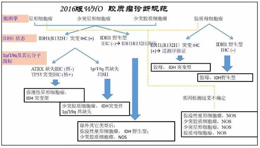 北大肿瘤医院电话,北大肿瘤医院联系方式与创新设计计划，镂版设计的探索与实践,详细数据解释定义_儿版30.18.75