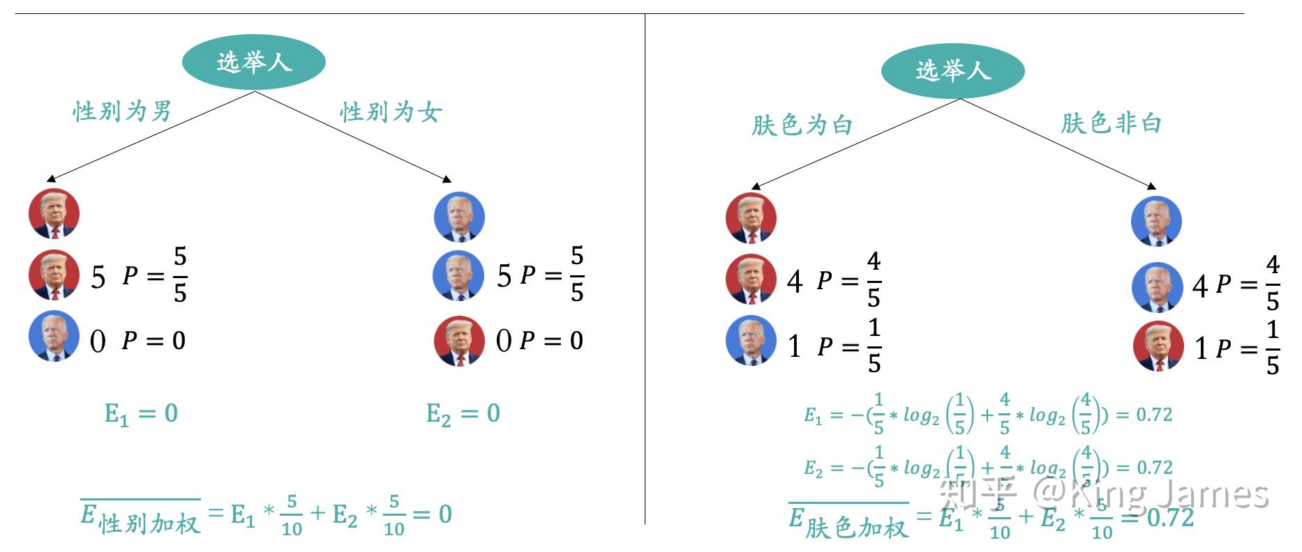 标本的分类如何区分