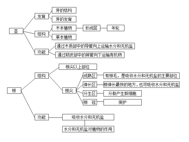 焦炉装煤车结构,焦炉装煤车结构与数据引导策略解析,管家婆_The23.53.18