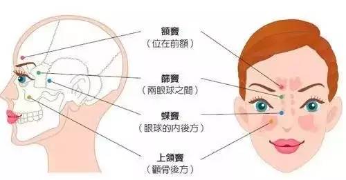 鼻炎和鼻窦炎的区别