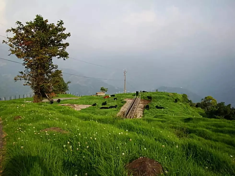 旅游和乡村旅游