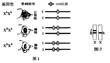 金刚石工具与呋喃树脂原料的关系