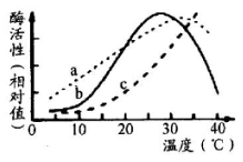 硅灰石粉对人体有害吗