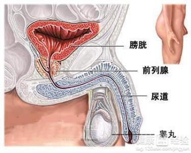 睾丸炎可以热敷吗