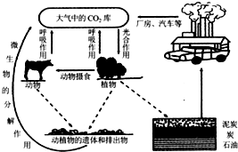 电机与成膜物质的作用区别