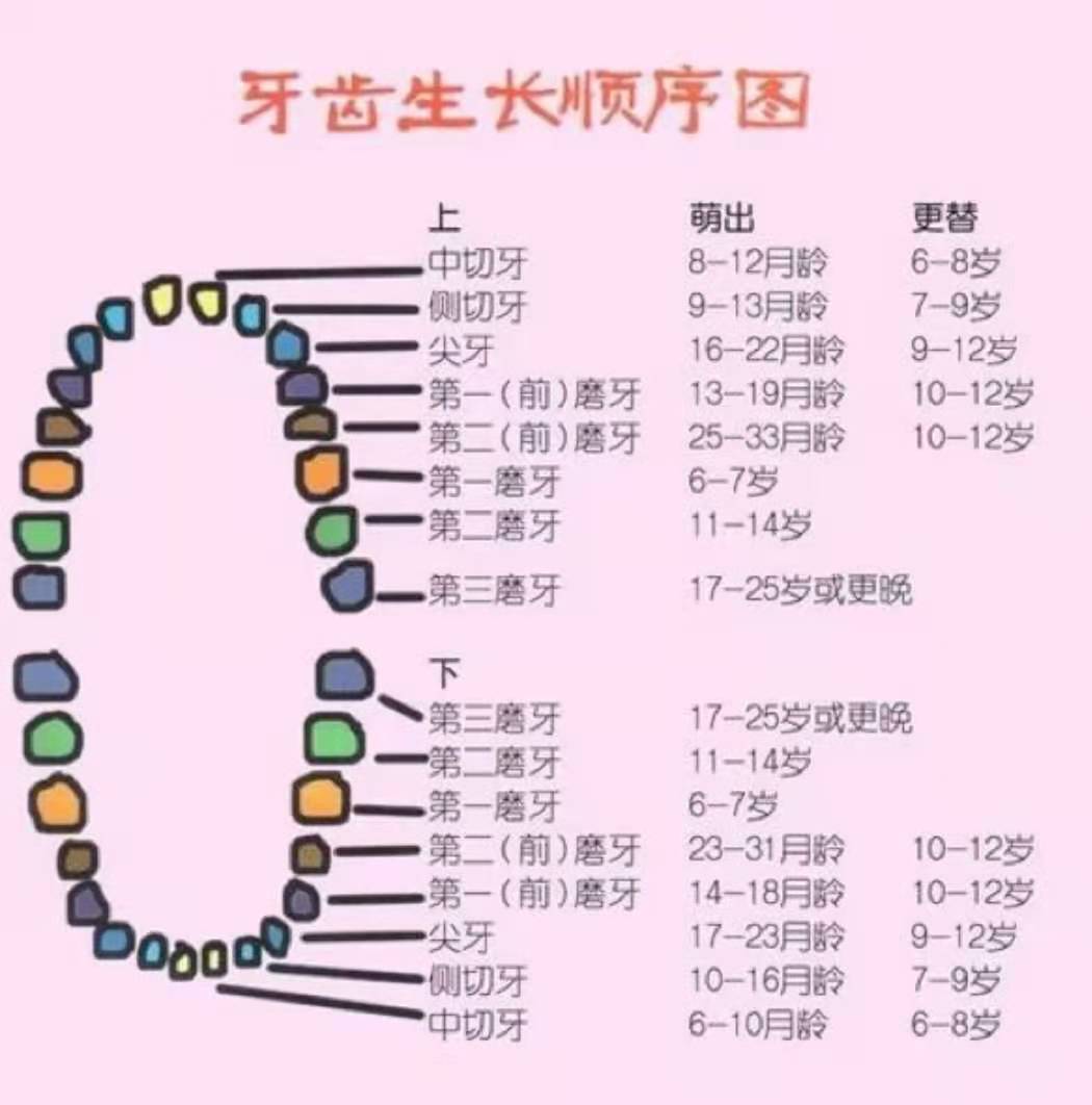 儿童多生牙图片