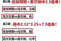 澳门一肖一特一码一中,澳门一肖一特一码一中，探索权威推进方法与专业策略,系统化策略探讨_VE版50.95.30