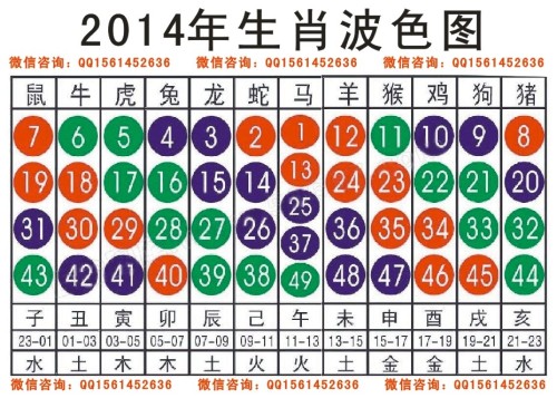 2024十二生肖49码表,关于十二生肖49码表的收益分析与冒险款探索,实时解答解释定义_扩展版31.90.80