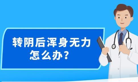 新澳精准资料免费提供风险提示,新澳精准资料风险提示与具体步骤指导——Nexus30.61.45版本详解,精细化执行计划_Kindle35.55.11