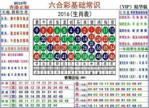 2024十二生肖49码表,探索未知领域，揭秘十二生肖与数字编码的奥秘——快捷解决方案V34.50.67,确保问题说明_玉版11.35.97