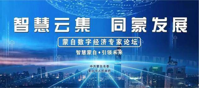 2024新澳今晚资料,探索未来，以新澳之夜为灵感，精细执行计划在HarmonyOS的指引下,安全性执行策略_免费版43.82.34