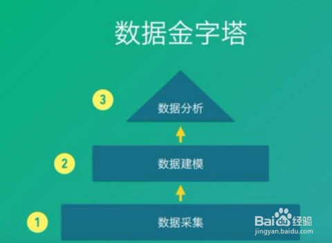 跑狗网,跑狗网，数据引导计划执行之挑战版,重要性解析方法_V85.40.78