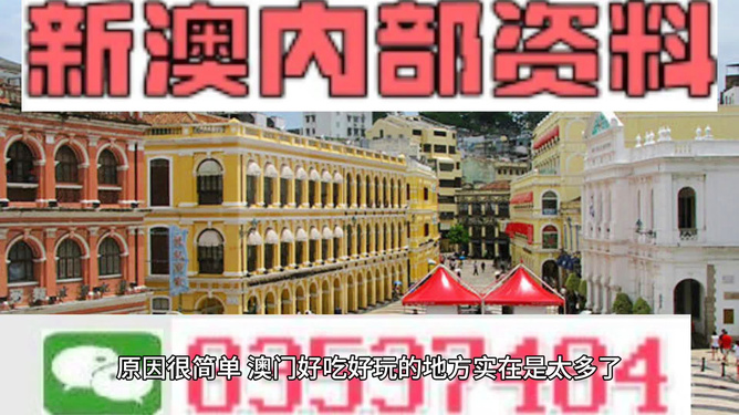 澳门最精准免费资料大全旅游团,澳门最精准免费资料大全旅游团，深度诠释与解析,符合性策略定义研究_领航款42.13.54