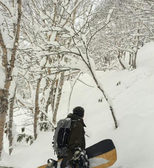 谢霆锋和大儿子Lucas一起滑雪