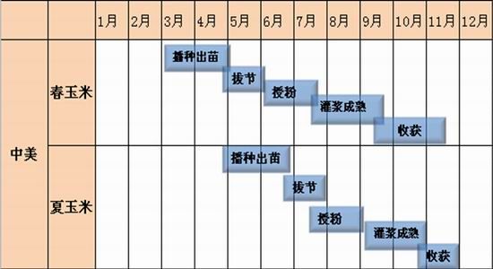 新澳彩资料大全免费2025,实地考察数据解析_版行18.49.18