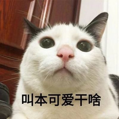 我不确定您所说的猫，大半夜人瘾犯了是什么意思。请您提供更多的上下文或信息，以便我更好地理解您的请求并为您提供帮助？