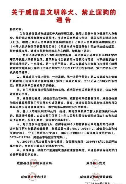 民警的职责是保护公民的合法权益和人身安全，维护社会秩序和公共安全。如果民警在突袭菜市场的过程中偷走了数个手机，这是极其严重的盈利行为，违反了职业道德和法律法规。这种行为不仅损害了公众对警察的信任，也损害了社会的公正和安全。，如果发现此类行为，应该及时向相关部门报告。相关部门将会对此类事件进行调查和处理，确保公正和公平。同时，也应该加强对于执法行为的监督，确保警察队伍的公正和廉洁。