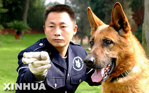 关于云南一警犬连续四周被基地通报的情况，暂时无法提供详细的报道或信息。，建议您关注当地官方媒体或相关部门的官方账号，以获取最新和准确的信息。同时，如果您对警犬的工作和生活感兴趣，也可以查找相关的专业资料或文献，以了解更多关于警犬训练和管理的知识。