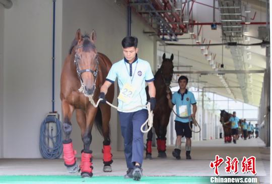 香港赛马会资料