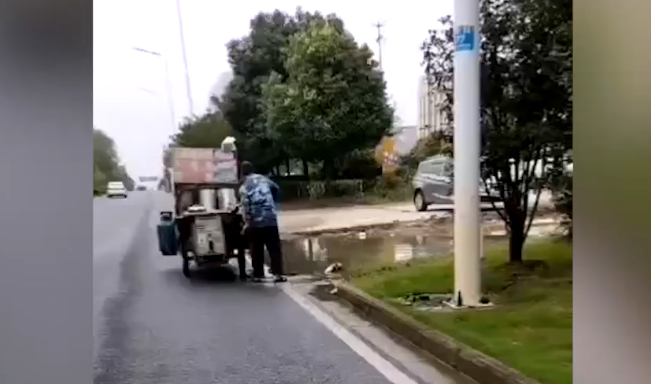 中药材亳州价格天地网