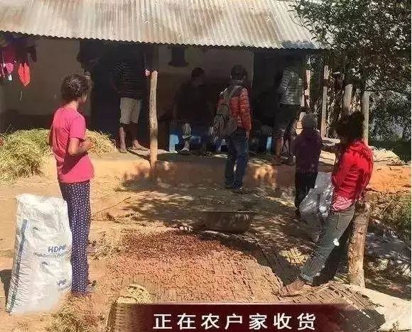 东北小伙受邀旅游被骗至缅东